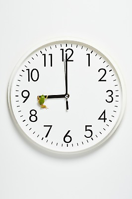 포토 JPG 스튜디오촬영 동물 한마리 육지동물 시계 컬러 실내 개구리 양서류 근접촬영 사람없음 초록색 시간 시곗바늘 벽시계 청개구리 국내포토 1 뷰포인트 내부 파일형식