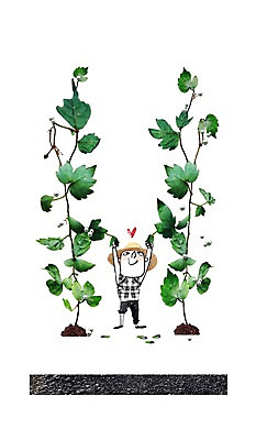 전신 PSD 나무 식물 편집 편집이미지 남자 백그라운드 포토일러 합성일러스트 한명 서기 사람 성인 잡기 풀 디지털합성 친환경 편집일러스트 남자만 남자한명만 성인남자만 성인만 이미지편집 1 모션 환경 파일형식