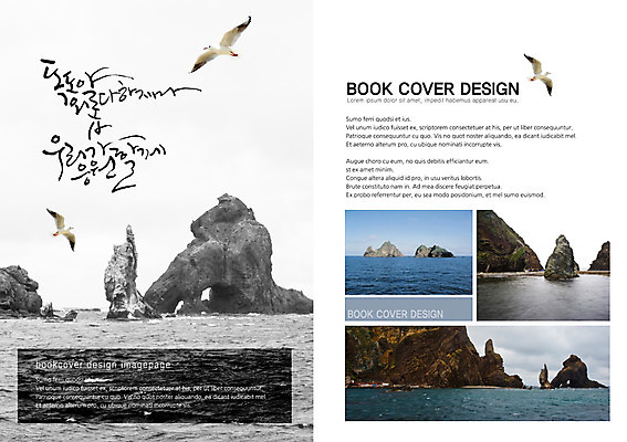 PSD 동물 템플릿 편집 표지디자인 북디자인 출판디자인 내지 바다 섬 여행 백그라운드 북커버 캘리그라피 갈매기 조류 한국 팜플렛 사람없음 돌_바위 바위 독도 국내여행 이미지템플릿 아시아 파일형식