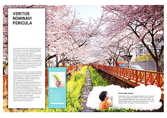 PSD 나무 식물 템플릿 편집 표지디자인 북디자인 손 출판디자인 계절 남자 꽃 내지 어린이 백그라운드 북커버 자동차 사람 동양인 소년 팜플렛 여러명 상반신 옆모습 신체부위 봄 원근감 한국인 벚꽃 아기 비눗방울 소식지 뉴스레터 벚꽃축제 가교 소식_알림 이미지템플릿 건축물 육상교통 뷰포인트 다수 컨셉 인종 축제 꽃축제 파일형식