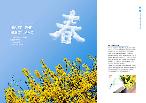 PSD 식물 구름 템플릿 편집 표지디자인 북디자인 출판디자인 계절 꽃 내지 컬러 백그라운드 북커버 하늘 선물 팜플렛 사람없음 선물상자 노란색 한자 봄 개나리 소식지 뉴스레터 소식_알림 이미지템플릿 자연요소 문자 컨셉 상자 파일형식