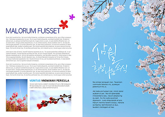 PSD 식물 템플릿 편집 표지디자인 북디자인 출판디자인 계절 꽃 내지 백그라운드 북커버 자연 팜플렛 사람없음 희망 봄 벚꽃 나뭇가지 3월 진달래 철쭉 나눔 소식지 뉴스레터 소식_알림 이미지템플릿 나무 감정 컨셉 날짜 생태계 파일형식