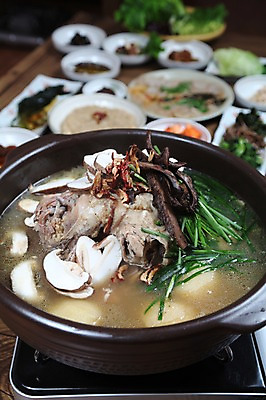 포토 JPG 그릇 접시 한식 음식 채소 반찬 감자 사람없음 아웃포커스 닭고기 버섯 닭 가스레인지 냄비 전 탕 대추 부침개 부추 백숙 옻닭 국내포토 식기 조류 촬영기법 육류 가전제품 레인지 솥 파일형식