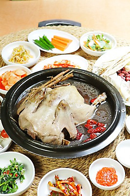 포토 JPG 그릇 접시 한식 채소 고추 반찬 김치 사람없음 닭고기 당근 샐러드 인삼 냄비 깍두기 탕 대추 콩나물 쌈장 삼계탕 파 시금치 백숙 옻닭 한방삼계탕 국내포토 식기 음식 뿌리채소 육류 양념 삼 솥 나물 보양식 파일형식