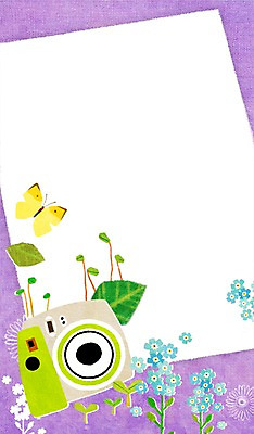 PSD 식물 동물 계절 꽃 종이 나비 곤충 백그라운드 일러스트 자연 안내 프레임 풍경 사람없음 카메라 봄 메모지 알림 폴라로이드 봄배경 국내일러스트 전자제품 사무용품 생태계 파일형식