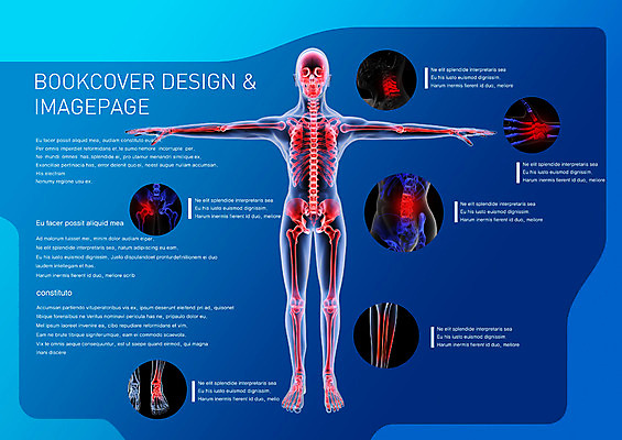 PSD 템플릿 편집 표지디자인 북디자인 손 출판디자인 내지 백그라운드 신체 북커버 해부 의학 인체모형 발 팔벌리기 뼈 골격 팜플렛 사람없음 치료 다리 디스크 허리 관절 목 종아리 이미지템플릿 모션 신체부위 모형 질병 파일형식
