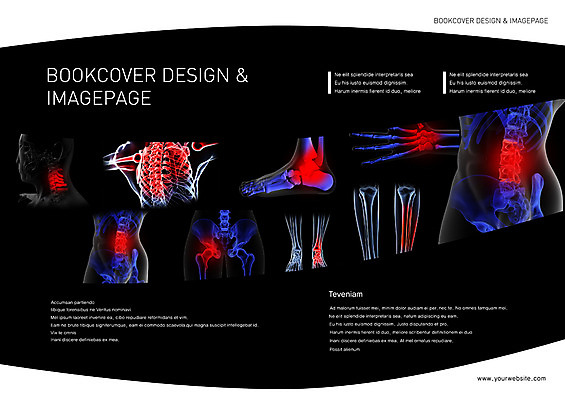 PSD 템플릿 편집 표지디자인 북디자인 손 출판디자인 내지 백그라운드 신체 북커버 해부 의학 인체모형 발 뼈 골격 팜플렛 사람없음 치료 다리 디스크 가슴 허리 종아리 이미지템플릿 신체부위 모형 질병 파일형식