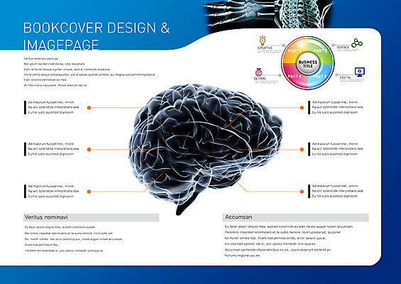 PSD 템플릿 편집 표지디자인 북디자인 출판디자인 내지 백그라운드 북커버 의학 인체모형 그래프 뼈 해골 팜플렛 사람없음 치료 장기 두뇌 뇌 이미지템플릿 신체 모형 파일형식