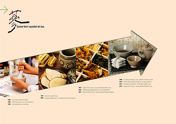 PSD 템플릿 편집 그릇 표지디자인 북디자인 손 출판디자인 화살표 내지 백그라운드 북커버 의학 주전자 팜플렛 신체부위 치료 한의학 약재 한약재 대접 사발 한의원 막자사발 약첩 이미지템플릿 식기 주방용품 병원 사람 약 사기그릇 파일형식