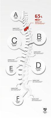 일러스트 의학 통계 수치 그래프 뼈 골격 사람없음 신체부위 치료 자료 인포그래픽 표 척추 입체 옵션 타입 서류판 국내일러스트 AI파일 사람 사무용품 파일형식 벡터