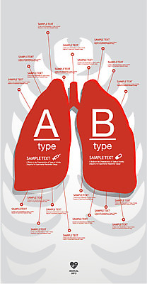 일러스트 의학 통계 수치 그래프 골격 사람없음 신체부위 치료 자료 인포그래픽 표 허파 장기 입체 옵션 갈비뼈 타입 서류판 국내일러스트 AI파일 신체 뼈 사람 사무용품 호흡기관 파일형식 벡터