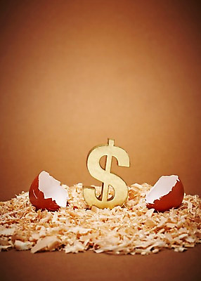 포토 JPG 스튜디오촬영 기호 실내 사람없음 금융 경제 귀여움 달러 계란 알 손상 화폐기호 부화 톱밥 국내포토 문자 컨셉 돈 내부 가루 화폐 파일형식