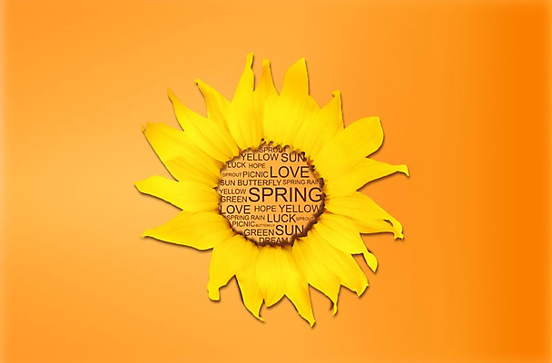 PSD 식물 편집 편집이미지 배너 계절 꽃 컬러 백그라운드 해바라기 프레임 따뜻함 풍경 사람없음 노란색 주황색 봄 알림 이미지편집 파일형식