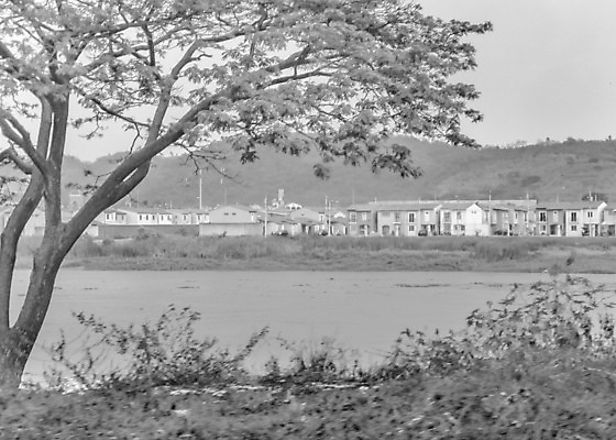 포토 JPG 해외이미지 구름 외관 계절 건축양식 교실 자연 하늘 아파트 주택 풍경 사람없음 야외 건물 강 미국 중앙 장면 커뮤니티 에콰도르 연립주택 이웃 남쪽 내추럴 교외 해외202004 해외포토 자연요소 건축물 교육 건축 북아메리카 학교 남아메리카 방향 생태계 파일형식 이미지허브