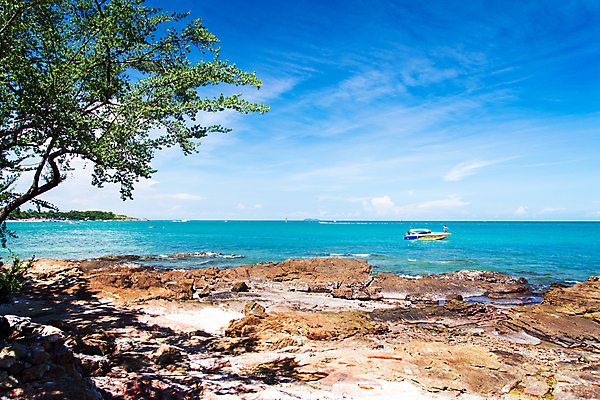 포토 JPG 해외이미지 나무 구름 바다 섬 교통시설 자연 하늘 풍경 해변 사람없음 야외 물 여름 파란색 컬러풀 햇빛 갈색 맑음 바위 만 보트 가장자리 속도 장면 동쪽 스카이라인 흙더미 내추럴 수평선 해외202004 해외포토 자연요소 식물 계절 컬러 교통 배_교통 날씨 태양 흙 돌_바위 둘레 방향 시설 생태계 파일형식 더미 이미지허브
