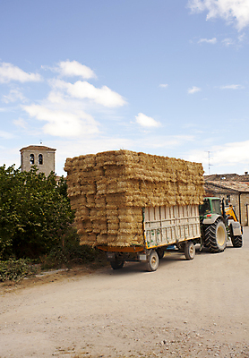 포토 JPG 해외이미지 구름 밭 농업 교통시설 휴가 옥수수 풍경 사람없음 농작물 흙 수확 시골 바퀴 스페인 볏짚 밀 만취 철사 트랙터 밭일 해외202004 해외포토 자연요소 유럽 산업 교통 곡류 짚 농기계 시설 특수차량 술취함 파일형식 이미지허브