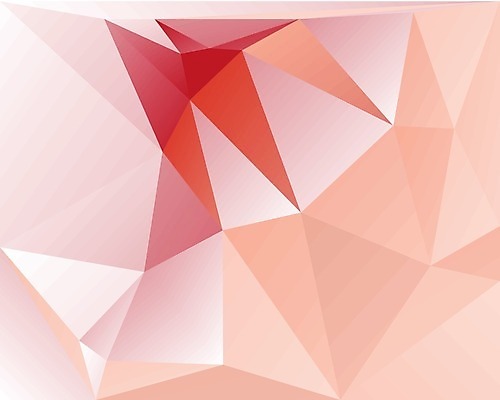 EPS 해외이미지 백그라운드 일러스트 추상 사람없음 그래픽 기하학 지오메트릭 코랄 해외202004 해외일러스트 컬러 무늬 파일형식 벡터 이미지허브