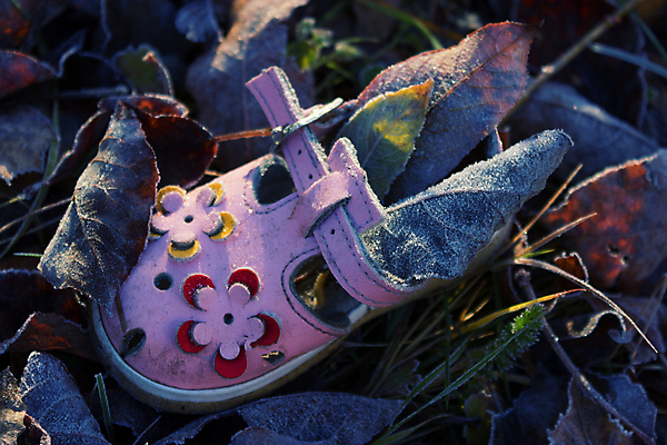 포토 JPG 해외이미지 디자인 커플 옷 여자 어린이 스포츠 분홍색 결혼 백그라운드 신발 컨셉 잎 2 놀이 새로움 부츠 소년 사람없음 파란색 빛 청춘 컬러풀 운동 유행 우주 산책 가을 흰색 아기 클래식 달콤 작음 가난 오브젝트 질감 걸음마 고립 해외202004 해외포토 식물 계절 남자 컬러 관계 모션 휴식 건강 사람 이벤트 맛 크기 파일형식 이미지허브