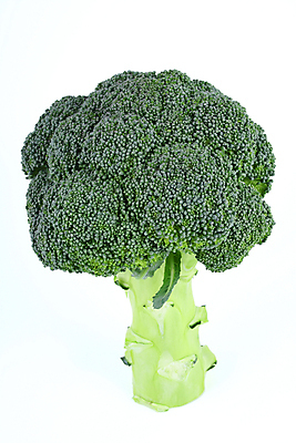 포토 JPG 해외이미지 음식 줄기 잎 다이어트 채소 건강 요리 사람없음 초록색 컬러풀 요식업 저녁식사 흰색 신선 최고 고명 몸무게 브로콜리 날씬함 유기농 날것 칼로리 섬유 성분 내추럴 점심식사 고립 식욕 적자 해외202004 해외포토 식물 웰빙 산업 컬러 식사 직물 몸매 파일형식 이미지허브