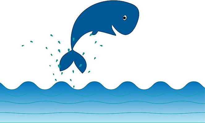 EPS 해외이미지 파도 바다 컨셉 일러스트 포유류 어류 물 파란색 점프 물방울 만화 고래 해외202004 해외일러스트 자연요소 동물 컬러 모션 수중동물 파일형식 벡터 이미지허브