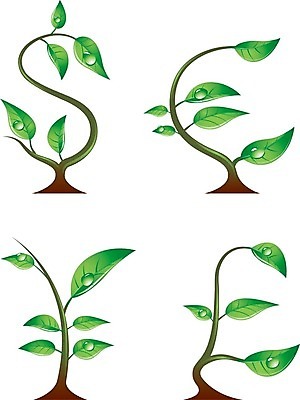 EPS 해외이미지 식물 유럽 줄기 잎 돈 일러스트 자연 영국 잉글랜드 아이디어 사람없음 초록색 금융 일본 미국 봄 저축 성장 재산 심볼 환경보전 시작 흰배경 기회 투자 수익 고집 모종 해외202004 해외일러스트 계절 나라 아시아 컬러 백그라운드 컨셉 북아메리카 비즈니스 경제 흰색 사회이슈 생태계 파일형식 벡터 이미지허브