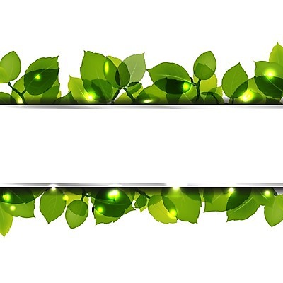 EPS 해외이미지 나무 식물 배너 포스터 백그라운드 컨셉 잎 일러스트 자연 바람 추상 프레임 그래픽 초록색 여름 세트 라벨 환경 웹 봄 줄무늬 공백 활발 성장 덮개 나뭇가지 신선 신용카드 숲 에코 내추럴 바이오 생태학 엘리먼트 해외202004 해외일러스트 자연요소 계절 교육 컬러 무늬 인터넷 날씨 금융 뚜껑 생태계 파일형식 벡터 이미지허브