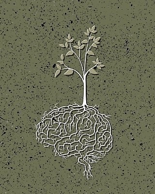 EPS 해외이미지 나무 식물 종이 지구 과학 컨셉 잎 농업 일러스트 해부 자연 새로움 사람 그래픽 초록색 머리 새싹 환경 정원 희망 봄 성장 흰색 마음 감각 오르간 보호 작음 불안 심볼 뇌 유기농 원예 뿌리 먼지 시스템 내추럴 개발 고립 돌봄 모종 생태학 엘리먼트 취급주의 생존 해외202004 해외일러스트 웰빙 계절 교육 감정 산업 컬러 의학 모션 경고 취미 신체부위 건반악기 크기 생태계 파일형식 벡터 이미지허브