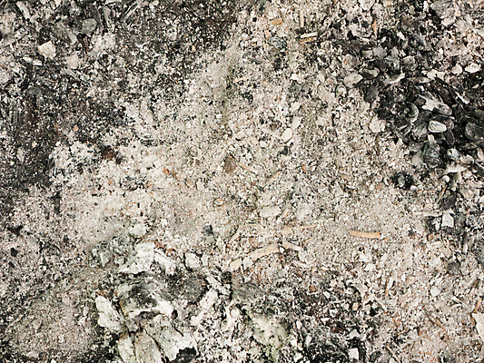 포토 JPG 해외이미지 백그라운드 패턴 자연 추상 불꽃 사람없음 야외 목재 쌓기 검은색 어둠 회색 흰색 뜨거움 위험 모닥불 바비큐 가루 벽난로 질감 먼지 화석 연료 재떨이 숯 그런지 석탄 재 해외202004 해외포토 나무 음식 컬러 컨셉 무늬 재료 모션 불 생태계 파일형식 이미지허브