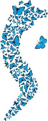 EPS 해외이미지 동물 디자인 계절 야생동물 나비 곤충 패턴 곡선 날개 일러스트 자연 하늘 날리기 장식 여름 파란색 세트 검은색 봄 활발 그룹 우아함 벌레 군중 작음 수집 그림 생물학 철새 나방 동물상 취급주의 많음 해외202004 해외일러스트 교육 선 컬러 컨셉 무늬 모션 조류 경고 사람 조형물 크기 생태계 파일형식 벡터 이미지허브