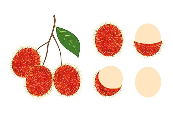 EPS 해외이미지 식물 음료 음식 분홍색 백그라운드 잎 농업 과일 일러스트 재료 자연 디저트 건강 육류 동양인 빨간색 초록색 세트 라벨 흰색 나뭇가지 신선 달콤 맛 상품 다발 피부 오브젝트 유기농 내추럴 고립 숙성 이국적 채식주의자 해외202004 해외일러스트 나무 웰빙 산업 컬러 컨셉 식재료 프레임 인종 신체부위 생태계 채식 파일형식 벡터 이미지허브