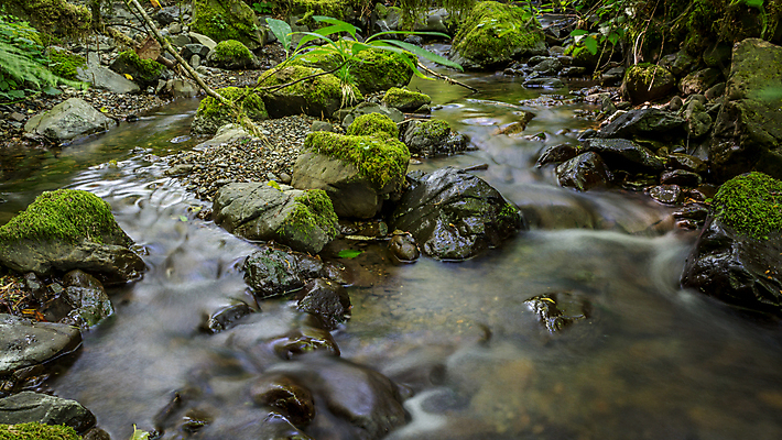포토 JPG 해외이미지 나무 공원 여행 백그라운드 모션 자연 산 이끼 풍경 사람없음 야외 목재 초록색 물 강 환경 봄 폭포 젖음 흐름 가을 바위 시간 개울 떨어짐 소프트포커스 숲 캘리포니아 장면 내추럴 해외202004 해외포토 자연요소 식물 계절 공공시설 컬러 컨셉 재료 촬영기법 미국 돌_바위 생태계 파일형식 이미지허브