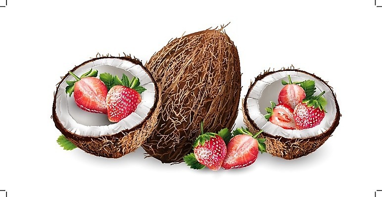 EPS 해외이미지 클립아트 열매 음식 분홍색 잎 과일 일러스트 포장 자연 딸기 디저트 요리 그래픽 장식 빨간색 컬러풀 갈색 꼬리표 라벨 주방 식당 주스 수확 신선 맛 잼 먹기 에코 유기농 배지 코코넛 통조림 내추럴 고립 숙성 채식주의자 해외202004 해외일러스트 식물 웰빙 음료 컬러 컨셉 농업 모션 프레임 환경 상점 소스_음식 생태계 채식 파일형식 벡터 이미지허브