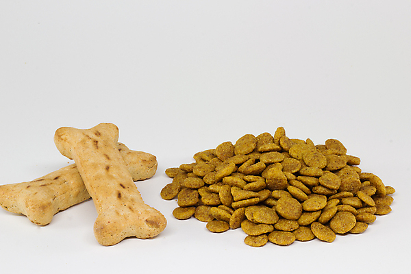 포토 JPG 해외이미지 음식 뼈 사람없음 대접 사발 개 먹이 수의사 수유 해외202004 해외포토 포유류 의사 사기그릇 파일형식 이미지허브