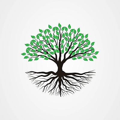 EPS 해외이미지 모양 나무 식물 디자인 계절 공원 실루엣 백그라운드 잎 꽃무늬 패턴 일러스트 자연 추상 건강 야외 목재 그래픽 장식 초록색 여름 환경 정원 봄 흰색 숲 심볼 그림 에코 유기농 올리브 뿌리 내추럴 고립 생태학 엘리먼트 스타일 해외202004 해외일러스트 웰빙 공공시설 교육 열매 꽃 컬러 무늬 재료 촬영기법 생태계 파일형식 벡터 이미지허브