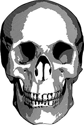 EPS 해외이미지 1 백그라운드 일러스트 부분 뼈 잉크 골격 흑백 미술 미소 웃음 사람 그래픽 검은색 할로윈 회색 흰색 죽음 거친 닫기 치아 만화 심볼 오브젝트 사인 고민 그림 해적 턱 나쁜 고딕 고립 구식 그런지 엘리먼트 해골모형 소름 스타일 효과 해외202004 해외일러스트 감정 컬러 모션 문화예술 촬영기법 표정 모형 소화기관 도둑 파일형식 벡터 이미지허브