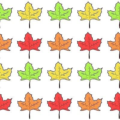 EPS 해외이미지 나무 식물 계절 행복 단풍 잎 꽃무늬 패턴 오렌지 일러스트 자연 빨간색 초록색 여름 컬러풀 노란색 정원 봄 가을 직물 숲 허브 심볼 만족 질감 윤곽 손그림 10월 내추럴 생태학 줄서기 포장소품 플라타너스 해외202004 해외일러스트 교육 꽃 감정 컬러 무늬 과일 포장 모션 날짜 오브젝트 생태계 포장재료 파일형식 벡터 이미지허브