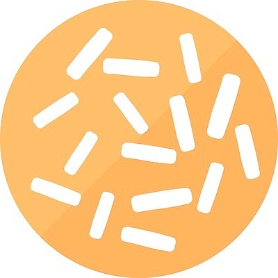 EPS 해외이미지 백그라운드 일러스트 생물 건강 사람 그래픽 약 건강관리 고통 흰색 최고 실험실 위생 질병 생명공학 심볼 분석 사인 생물학 감염 전염 미생물 박테리아 기생충 고립 돌봄 전염병 해외202004 해외일러스트 교육 감정 컬러 컨셉 의학 모션 실험 관리 바이러스 파일형식 벡터 이미지허브