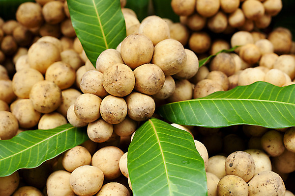 포토 JPG 해외이미지 식물 아시아 음식 농업 다이어트 과일 태국 디저트 건강 동양인 사람없음 초록색 노란색 신선 달콤 맛 먹기 유기농 날것 인도네시아 내추럴 숙성 이국적 채식주의자 해외202004 해외포토 웰빙 나라 산업 컬러 컨셉 모션 인종 채식 파일형식 이미지허브