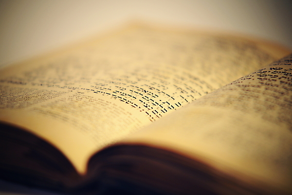 포토 JPG 해외이미지 전통 알파벳 교육 종이 문화 백그라운드 텍스트 사람없음 책 독서 골동품 흰색 기도 영혼 역사 두루마리 심볼 복고 문학 증거 페이지 신성 유대인 대본 신앙심 예루살렘 옛날 유태교 이스라엘 해외202004 해외포토 영어 컬러 서아시아 파일형식 이미지허브