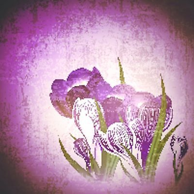 EPS 해외이미지 식물 디자인 꽃잎 꽃 꽃다발 백그라운드 잎 꽃무늬 일러스트 자연 표면 추상 휴가 부활절 미술 장식 정원 보라색 봄 들꽃 수확 골동품 벚꽃 나뭇가지 다발 부식 질감 복고 엽서 스크래치 내추럴 그런지 노화 스타일 해외202004 해외일러스트 나무 계절 기념일 컬러 컨셉 무늬 농업 문화예술 편지 생태계 파일형식 벡터 이미지허브