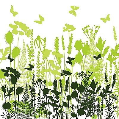 EPS 해외이미지 식물 손 디자인 계절 꽃 실루엣 나비 백그라운드 잎 꽃무늬 패턴 밭 일러스트 자연 그래픽 장식 초록색 세트 정원 봄 흰색 허브 그림 유기농 내추럴 엘리먼트 해외202004 해외일러스트 웰빙 컬러 곤충 무늬 농업 촬영기법 신체부위 생태계 파일형식 벡터 이미지허브
