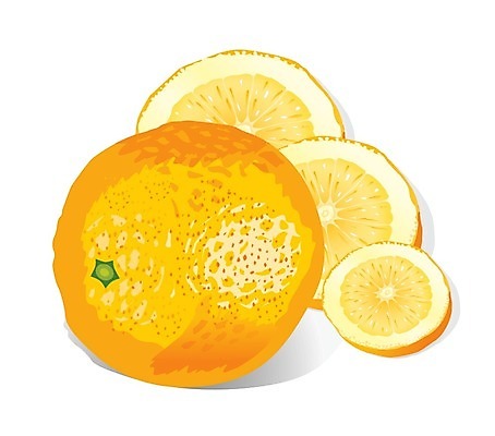 EPS 해외이미지 1 라이프스타일 계절 음식 조각 다이어트 오렌지 과일 일러스트 재료 자연 귤 건강 빛 컬러풀 노란색 식사 활발 에너지 흰색 신선 달콤 맛 먹기 피부 오브젝트 싱글 상쾌 유기농 칼로리 고립 숙성 채식주의자 해외202004 해외일러스트 웰빙 감정 컬러 컨셉 모션 생활 신체부위 생태계 채식 파일형식 벡터 이미지허브