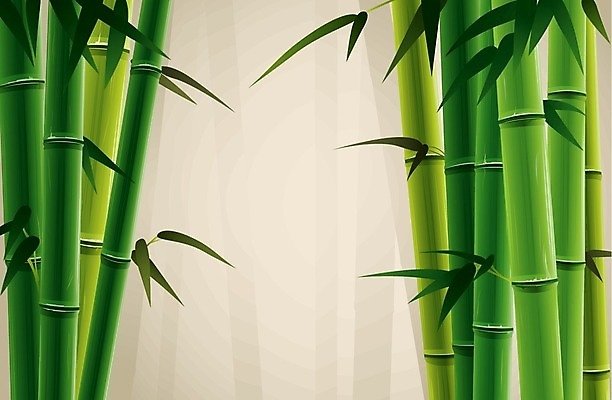 EPS 해외이미지 나무 식물 아시아 선 줄기 백그라운드 패턴 일러스트 자연 목재 초록색 일본 중국 활발 성장 나뭇가지 숲 대나무 해외202004 해외일러스트 나라 컬러 컨셉 무늬 재료 생태계 파일형식 벡터 이미지허브