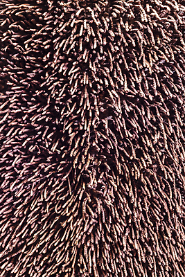 포토 JPG 해외이미지 디자인 선 백그라운드 패턴 표면 추상 바닥 형상 사람없음 내부 장식 갈색 유행 카펫 직물 우아함 묘사 질감 부드러움 섬유 양모 스타일 해외202004 해외포토 컬러 컨셉 무늬 감각 파일형식 이미지허브