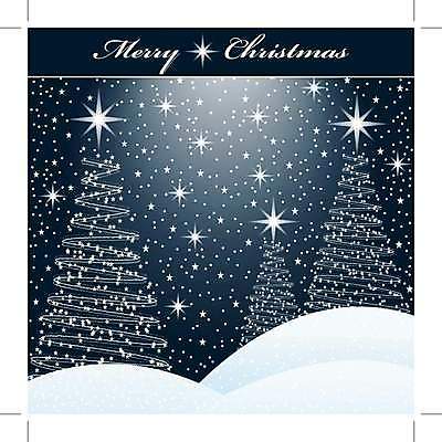 EPS 해외이미지 나무 계절 별 백그라운드 크리스마스 겨울 일러스트 자연 하늘 날씨 휴가 불꽃 야외 장식 빛 축제 어둠 추위 흰색 시골 축하 인사 신용카드 야간 숲 12월 언덕 장면 제설기 눈내림 해외202004 해외일러스트 자연요소 식물 기념일 컬러 컨셉 불 금융 눈 예절 날짜 생태계 제설 파일형식 벡터 이미지허브