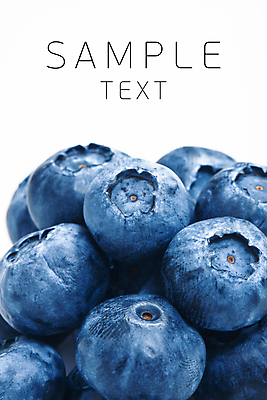포토 JPG 해외이미지 열매 음식 과일 자연 사람없음 파란색 흰색 신선 달콤 오브젝트 블루베리 내추럴 고립 숙성 월귤 해외202004 해외포토 식물 컬러 맛 생태계 파일형식 이미지허브