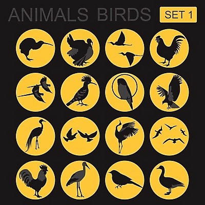 EPS 해외이미지 동물 디자인 실루엣 날개 일러스트 자연 조류 동물원 키위 세트 검은색 치킨 흰색 플랫 만화 수집 왜가리 심볼 깃털 기중기 사인 비둘기 앵무새 독수리 참새 팩 칠면조 수탉 고립 동물상 엘리먼트 황새 해외202004 해외일러스트 컬러 과일 촬영기법 조형물 화장품 닭 중장비 수컷 생태계 닭고기요리 파일형식 벡터 이미지허브