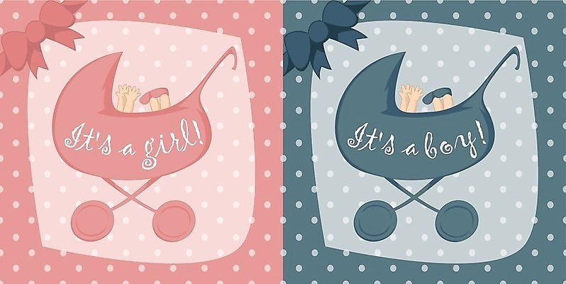 EPS 해외이미지 어린이 분홍색 일러스트 사랑 소년 파란색 부모 파티 임신 축하 아기 신생아 인사 신용카드 발표 생일 달콤 만화 도착 초대 마차 유모차 베이비샤워 해외202004 해외일러스트 기념일 남자 감정 교통수단 컬러 컨셉 가족 사람 이벤트 금융 아기용품 예절 맛 파일형식 벡터 이미지허브