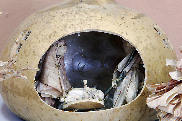 포토 JPG 해외이미지 동물 남자 행복 기독교 종교 어린이 크리스마스 가족 엄마 휴가 천사 기념 사람없음 장식 평화 성경 기도 아기 예수 영혼 아빠 12월 신성 요셉 외양간 베들레헴 신앙심 해외202004 해외포토 기념일 감정 컨셉 종교용품 관계 사람 신_종교 날짜 파일형식 이미지허브