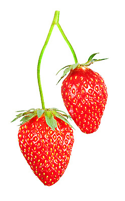 포토 JPG 해외이미지 디자인 열매 꽃 음식 백그라운드 잎 다이어트 과일 자연 딸기 디저트 건강 미술 사람없음 빨간색 초록색 정원 활발 흰색 신선 달콤 맛 숲 자르기 유기농 내추럴 고립 숙성 채식주의자 해외202004 해외포토 식물 웰빙 컬러 컨셉 모션 문화예술 생태계 채식 파일형식 이미지허브